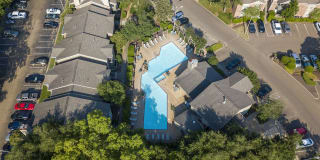 Pear Orchard Gallery 27