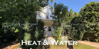 206 Amory Street - Lower Gallery 1