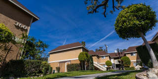 English Oaks Gallery 1