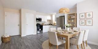 Harbour Point Gardens Gallery 2