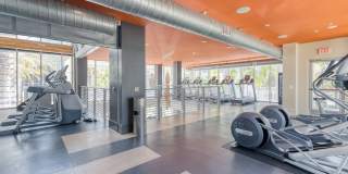 Boardwalk by Windsor Gallery 35