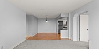410 Sheridan Ave Apt 1008 Gallery 5