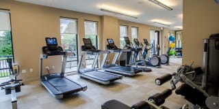 Modera 55 Gallery 25