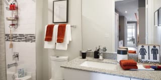 Insignia On M Gallery 30