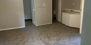 Fenced Yard Gallery 5