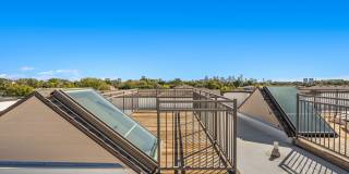 Magnolia at West Lemmon Gallery 38