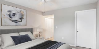 Coconut Palm Club Gallery 43