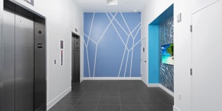 Zoi House Gallery 44