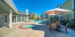 Bristle Pointe Gallery 7