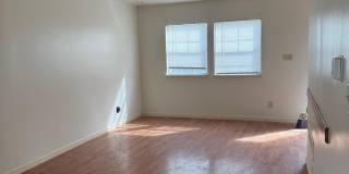 16 Spring Lane Gallery 22