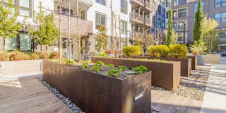 Sevens Luxury Apartment Gallery 189