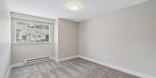 Avana Chestnut Hill Gallery 26