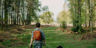 Jefferson Somerset Park Gallery 77