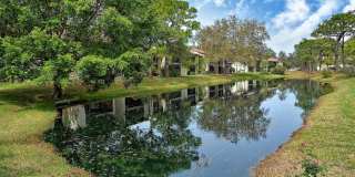 712 WHITE PINE TREE ROAD Gallery 63