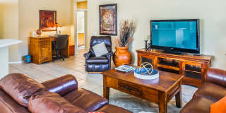 13655 North Gold Cholla Place Gallery 6