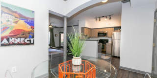 Highland Walk Gallery 11