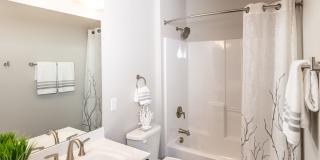 Encore at Forest Park Gallery 8