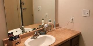 21 Orange Gallery 48