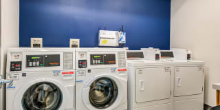 Arrive Alexandria Gallery 16