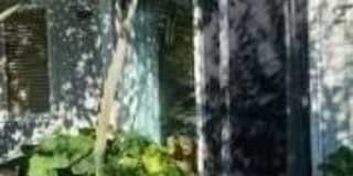270 Cottage Walk Gallery 3