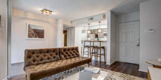 Tenison at White Rock Gallery 7