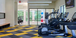 Anthology Apartments Gallery 24