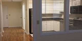 Chestnut Hill East Gallery 25