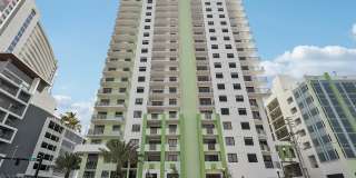 The Tropic Gallery 1