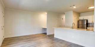 Sofi at Salem Station Gallery 33