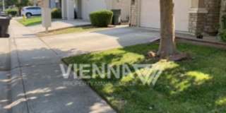 7956 Robinson Drive Gallery 3