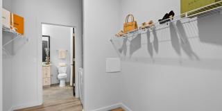 Avvio and Prossimo at BridgeWay Station Gallery 10