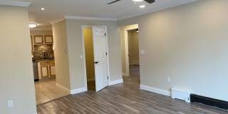 8 Northbrook Dr Gallery 3