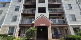 9569 Coggs Bill Dr - 1#201 Gallery 1