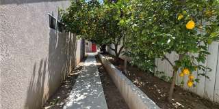 5032 Serrania Avenue Gallery 21
