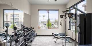 Acero on Roosevelt Gallery 17