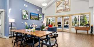 Element 170 Gallery 19