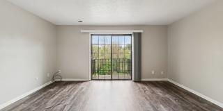 Williamsburg South Gallery 14