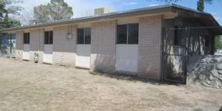 305 Corvena Way Gallery 30