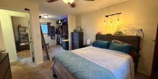 Quiet Ranch Retreat Steps from Light Rail with Finished Basement & Designer Kitchen Gallery 27