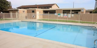 Newland Garden Gallery 2