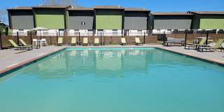 Ivy Plains at Brooks Ivy Plains at Brooks Gallery 7