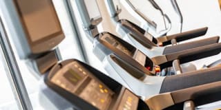 The Loden Gallery 43