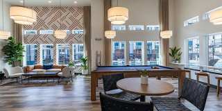 Jasper at Victory Ridge Gallery 6