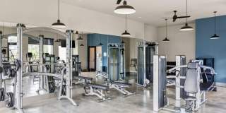 The Anson Gallery 29