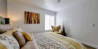 University Plaza Gallery 50