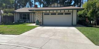 24437 La Glorita Circle Gallery 1