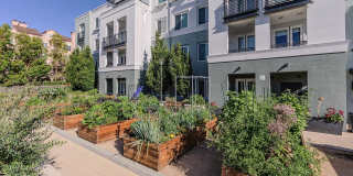 The Lark The Lark Gallery 1