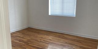 613 Olson Street Gallery 20