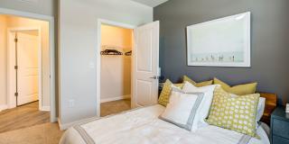 Estero Parc Gallery 13