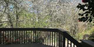 Beautiful 3 Bed + Bonus Room, 2.5 Bath Home! Gallery 12